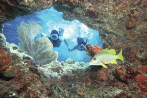 3h00 de snorkelling à Key West