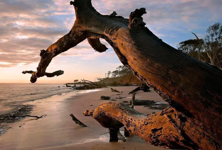 Plage Amelia Island