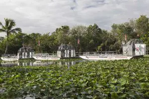 Fort Lauderdale : excursion dans les Everglades