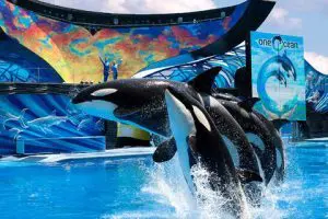 seaworld