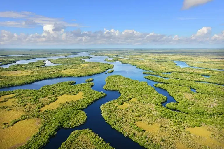 Vue aérienne Everglades