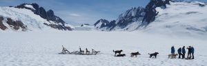 Alaska Juneau chiens traineaux hiver