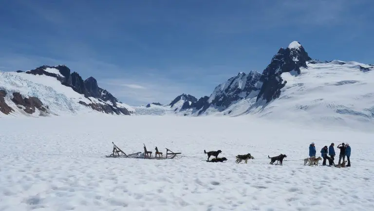 Juneau Alaska traineau chiens panoramic