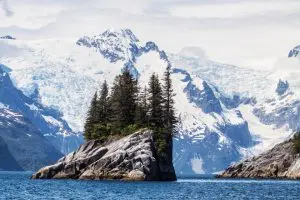 Croisière dans les Fjords Kenai