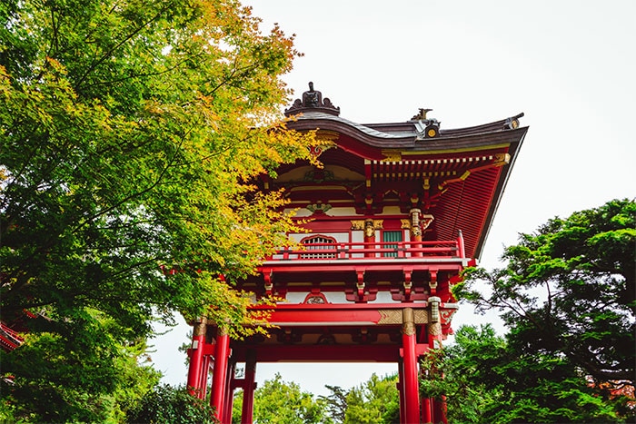 golden gate park