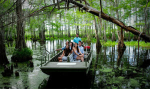 Swamp Adventures louisiane
