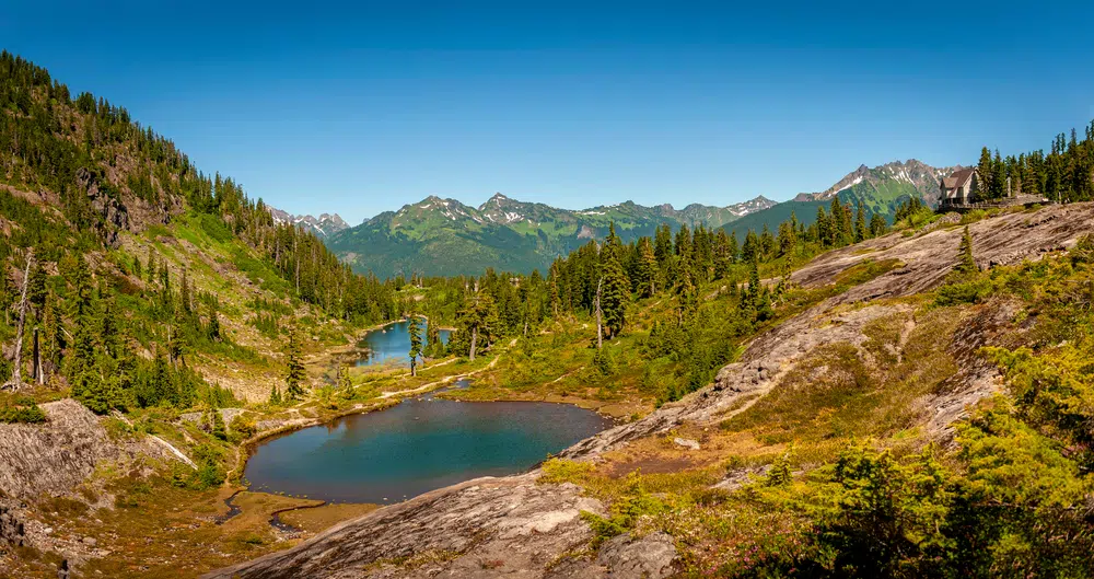 Heather Meadows Washington