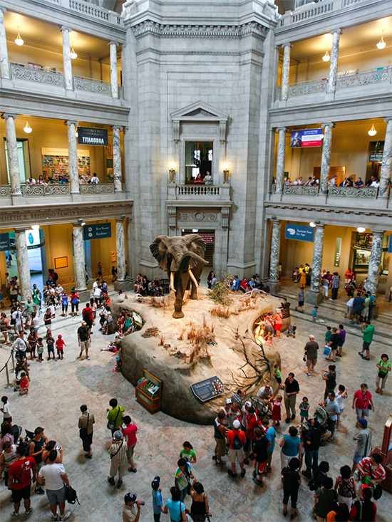 Centre du musée américain d'histoire naturelle